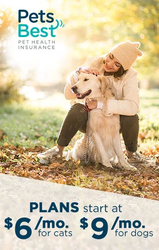 Happy dog with its owner in Idaho